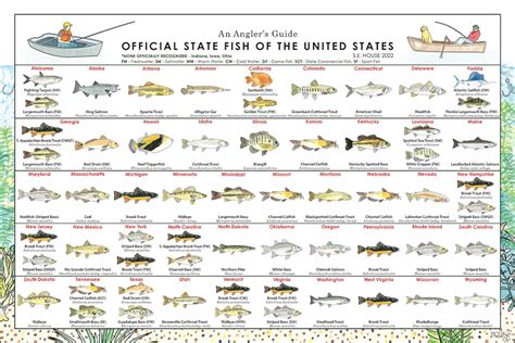 Top Fishing Destinations in the US All 50 States .